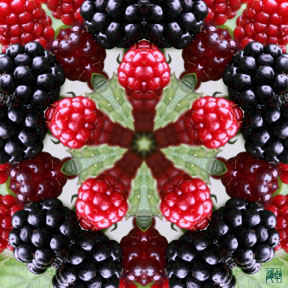 [pink & white flowers furoshiki]